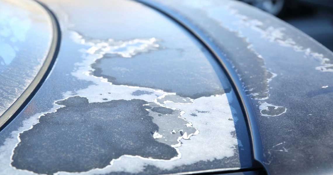 Protect Your Car from the Damaging Effects of Sun and Heat